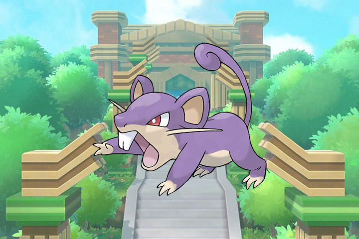 Rattata - Pokémon Let's Go, Pikachu et Évoli - 019