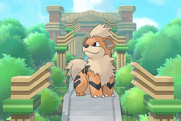 Caninos - Pokémon Let's Go, Pikachu et Évoli - 058