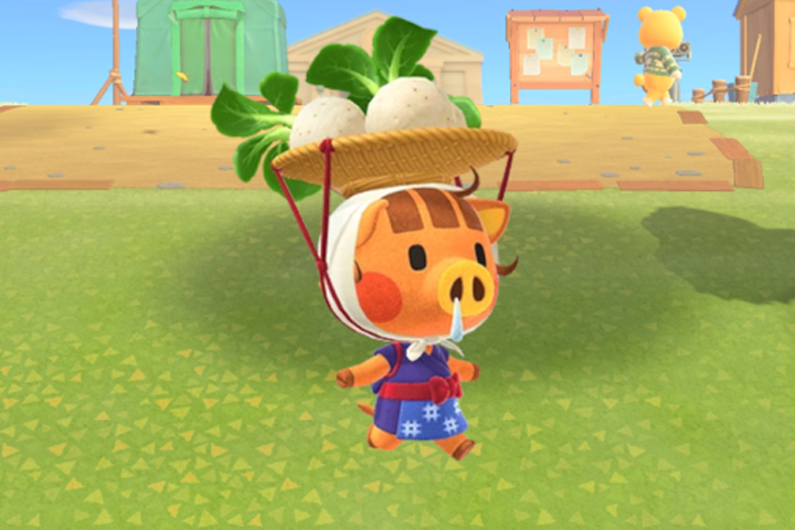 Le cours du navet en ligne dans Animal Crossing New Horizons