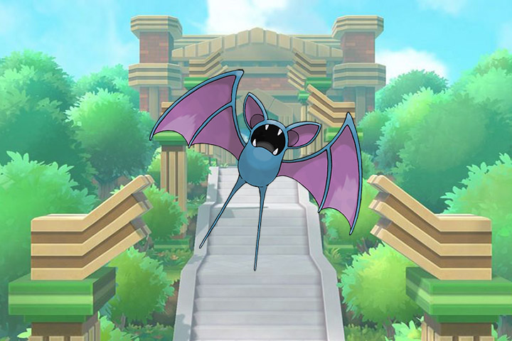 Pokédex : Fiche Nosferapti