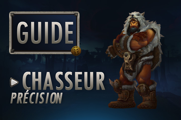 WoW : Guide Chasseur Précision