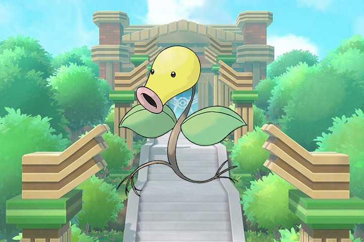 Pokédex : Fiche Chétiflor