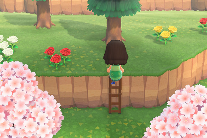 Animal Crossing New Horizons : Comment monter sur les falaises avec l'échelle ?