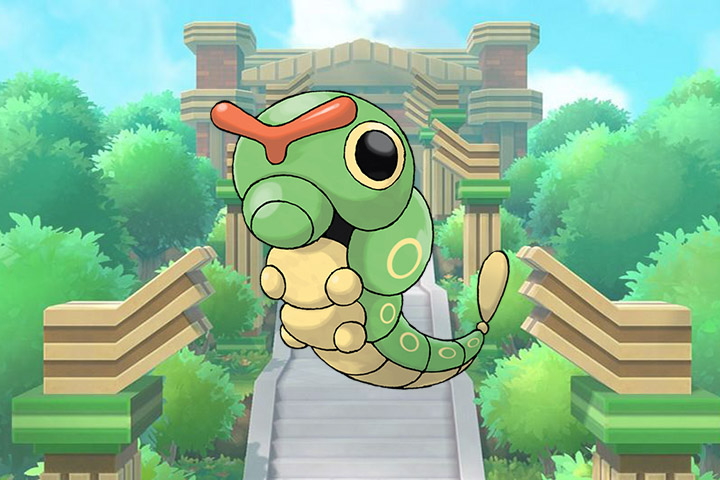 Pokédex : Fiche Chenipan