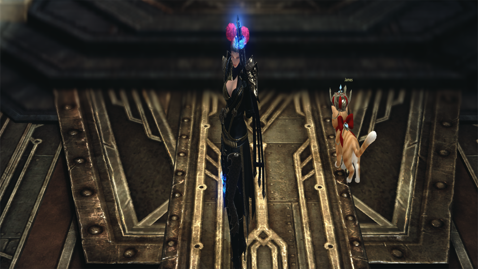 Les voix de la forêt Lost Ark, emplacements et réponses des fées ?