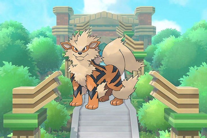 Pokédex : Fiche Arcanin