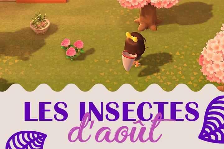 Insectes du mois d'août dans Animal Crossing New Horizons, hémisphère nord et sud