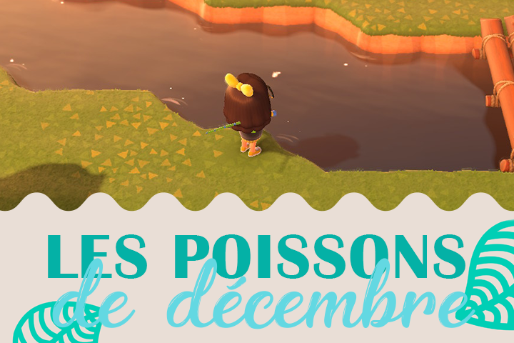 Poissons du mois de décembre dans Animal Crossing New Horizons, hémisphère nord et sud