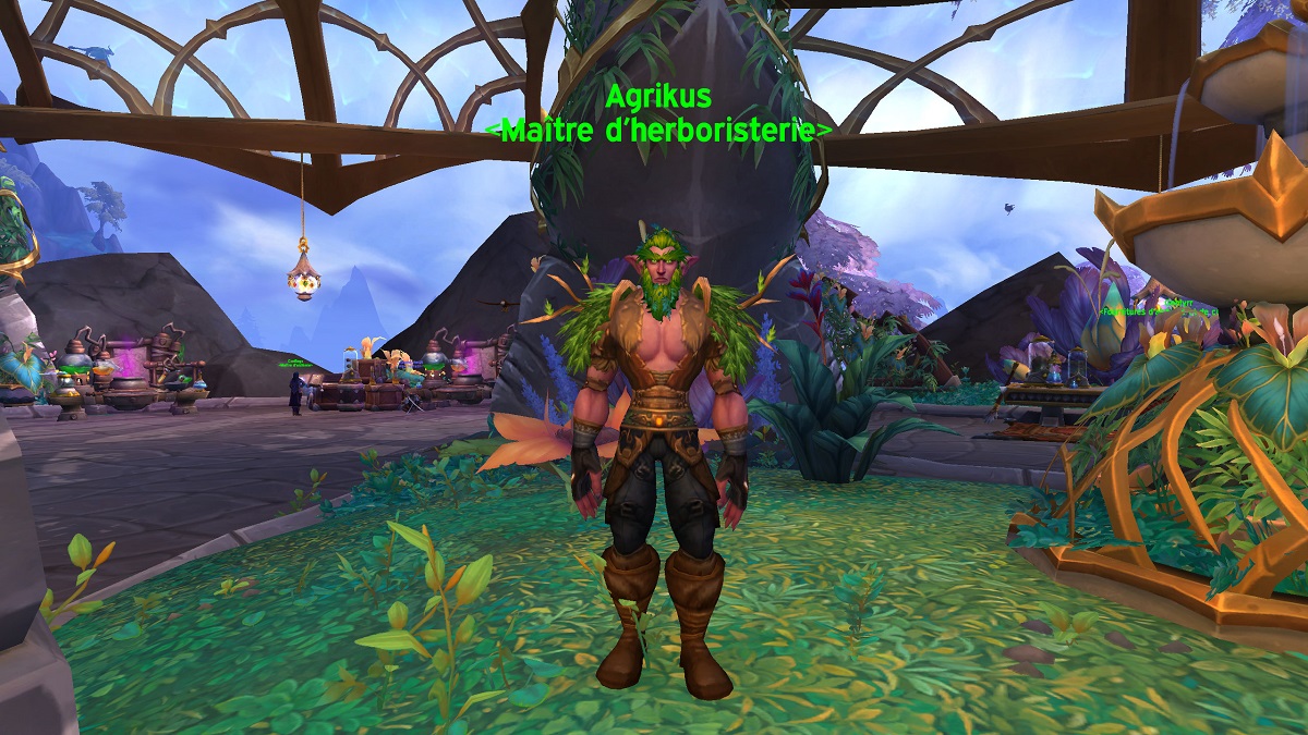 Hochenblume à WoW Dragonflight, où en trouver ?