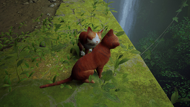 Comment obtenir tous les badges dans Stray ?