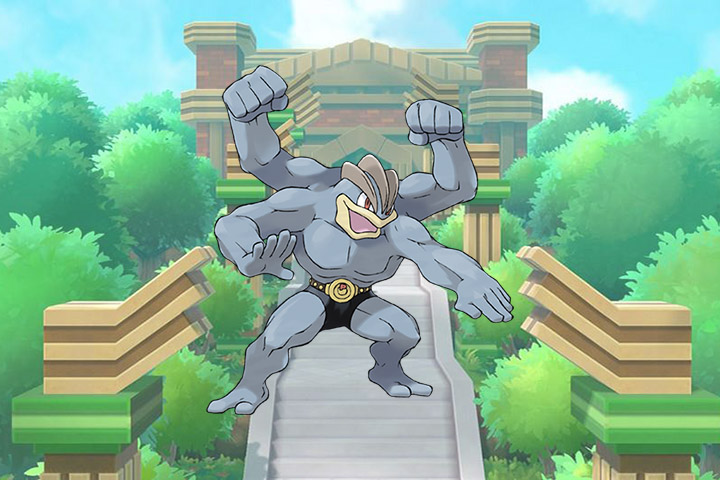 Pokédex : Fiche Mackogneur