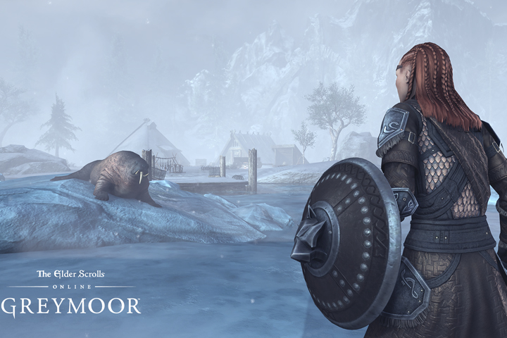 Présentation de Bordeciel dans TESO