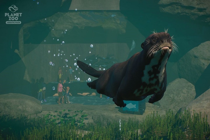DLC Pack Aquatique de Planet Zoo, nouveaux animaux et décors