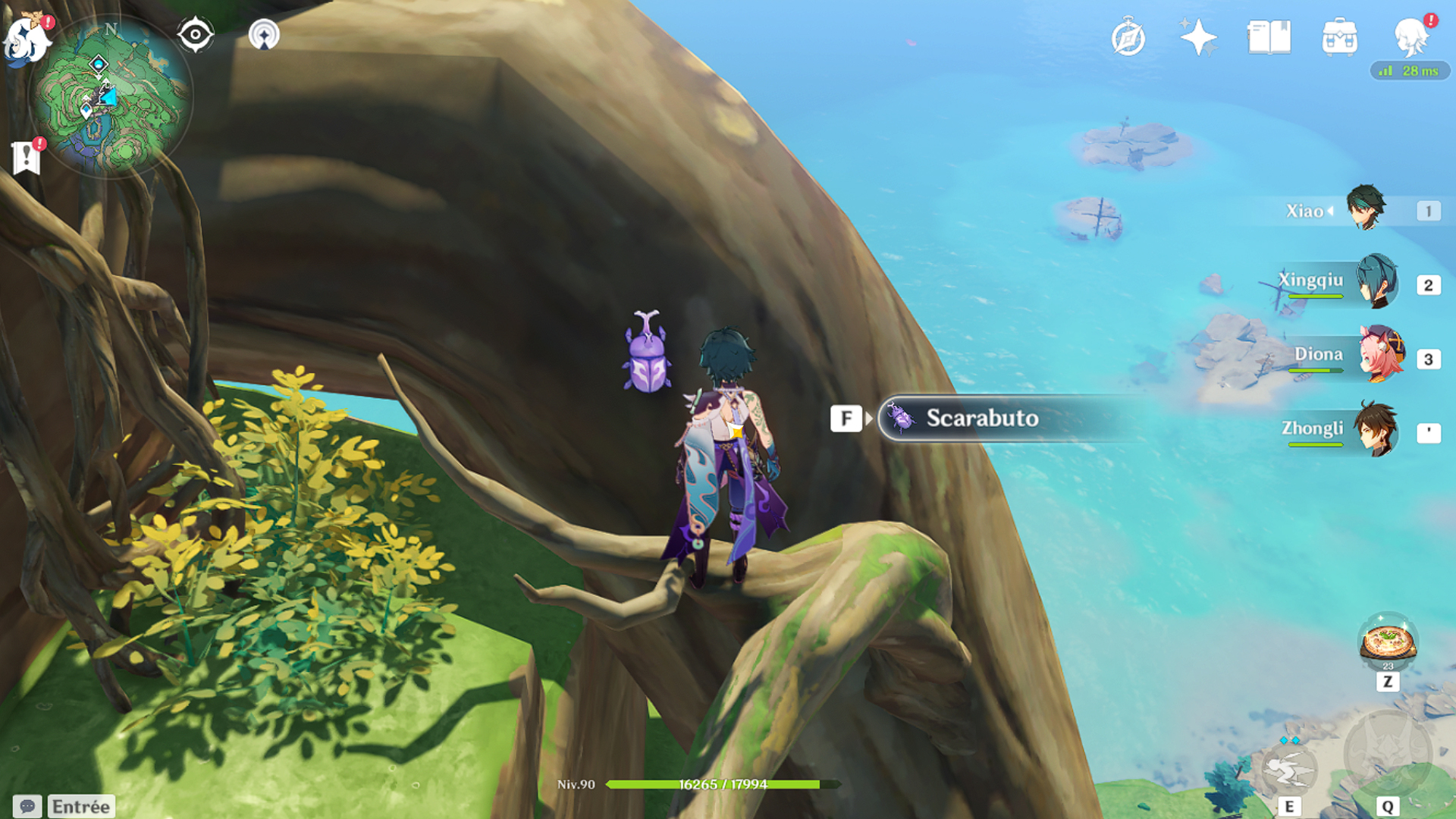 Scarabuto Genshin Impact, où en trouver ?