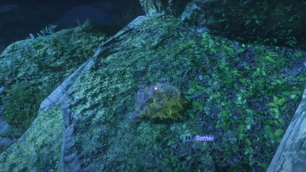 Où trouver la mousse meurtrie pour la quête Moment d'apprentissage dans Avatar Frontiers of Pandora ?