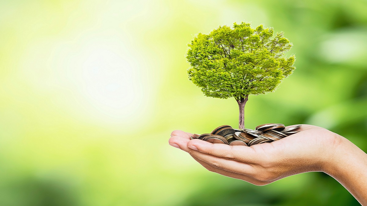 Inoxtag et des associations organisent une journée de ramassage de déchets à travers le Megothon