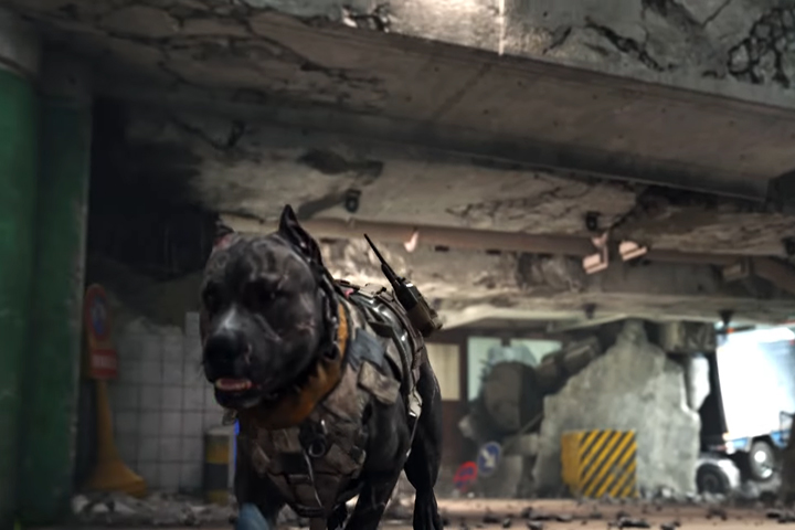 Call of Duty Black Ops 4 : Les chiens bug et op dans la Beta