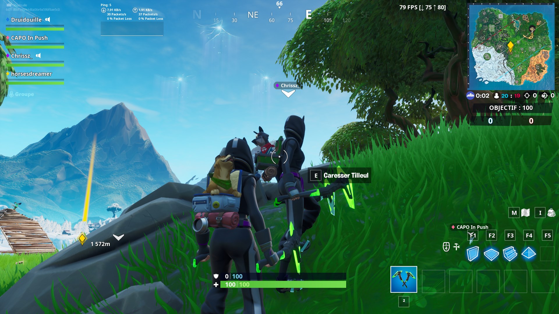 Fortnite : Caresser le compagnon d'un équipier, défi Esprit d'équipe