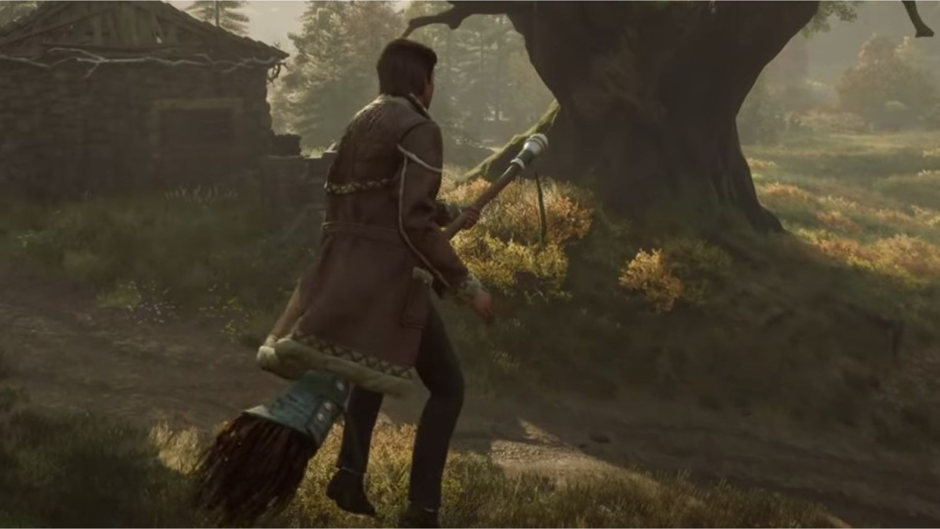 L'option à désactiver si vous avez la nausé sur Hogwarts Legacy !