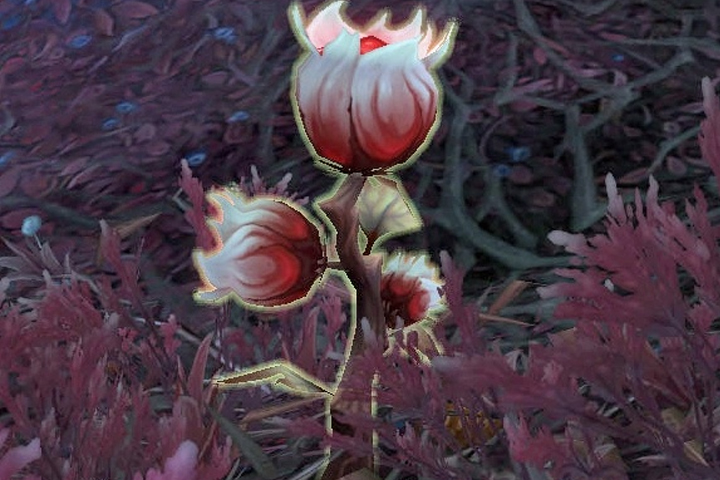 Farm Endeuillée, où sont les routes opti pour l'herbo dans WoW Shadowlands ?