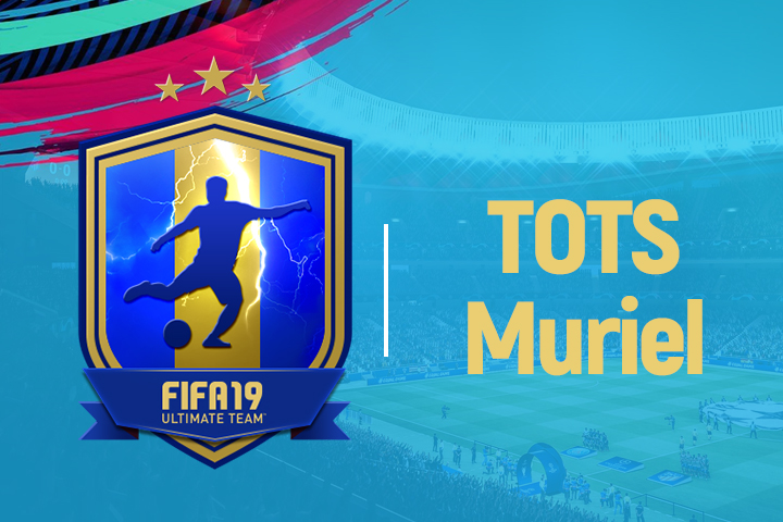 Solution DCE TOTS Luis Muriel