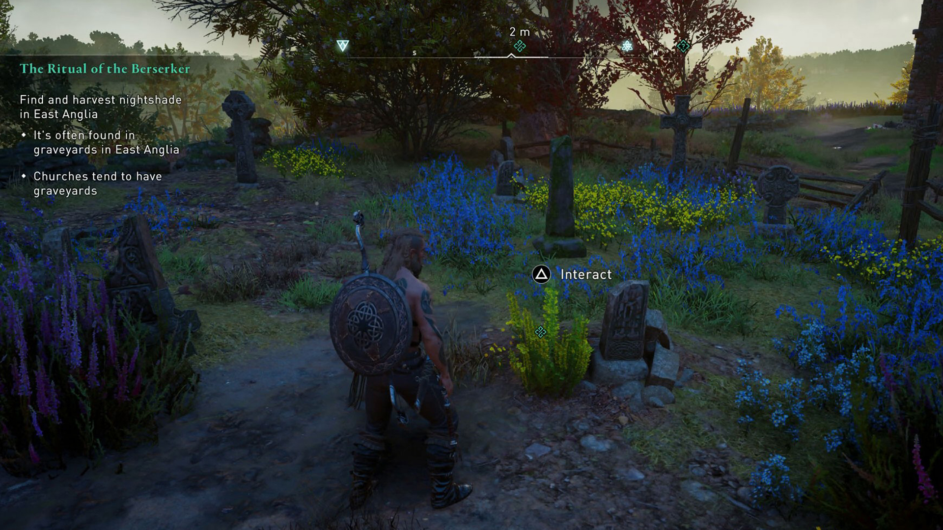 Comment obtenir du jusquiame noire ?