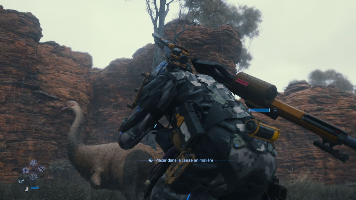Où trouver et comment capturer l'Émeu dans Death Stranding 2 ?