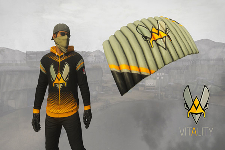 Des skins d'équipe en Pro League