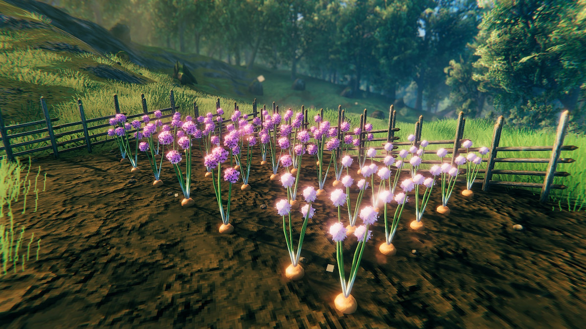 Où trouver les nouveaux ingrédients d'Heart and Home ?