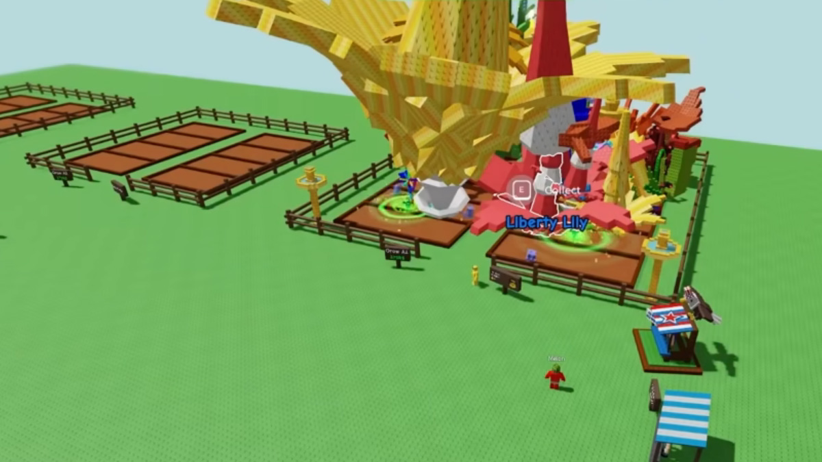 Liberty Lily Grow A Garden : comment avoir cette plante dans son jardin ?