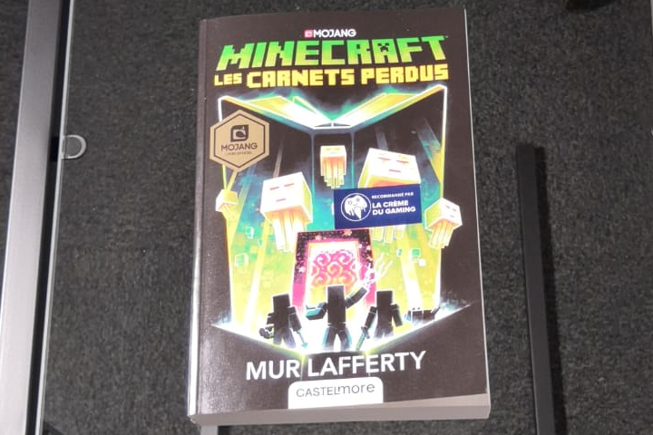 Découvrez Les Carnets perdus, un roman dans l'univers de Minecraft