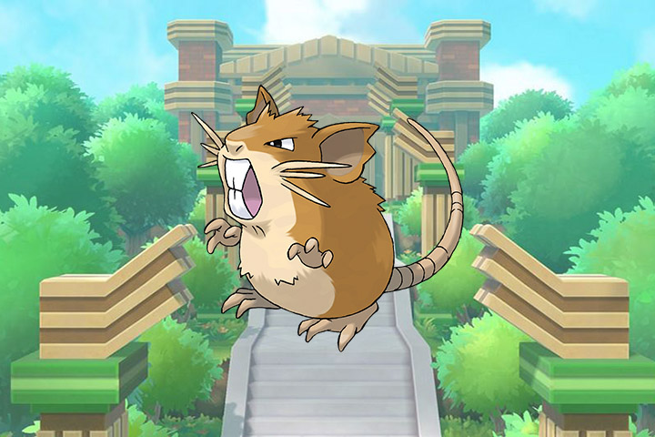 Pokédex : Fiche Rattatac