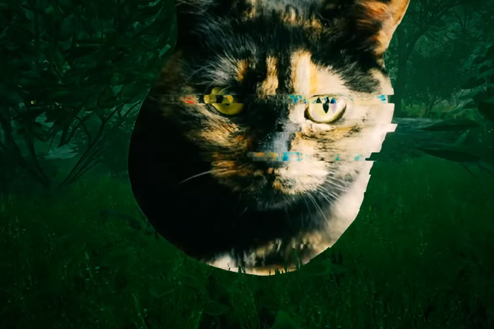 Satisfactory : Remplacer les araignées par des chats