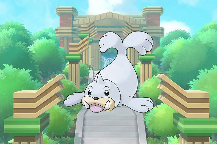 Pokédex : Fiche Otaria