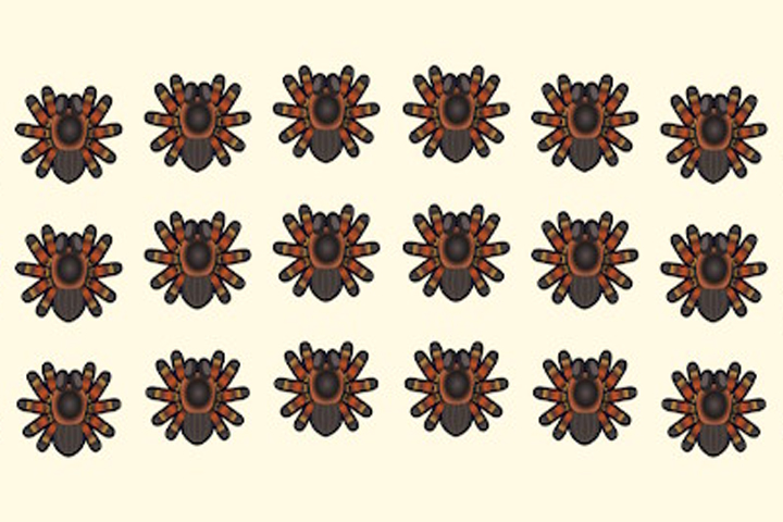 Après la disparition de la tarentule, comment gagner rapidement des clochettes dans Animal Crossing : New Horizons ?