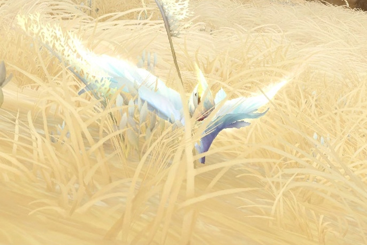 Farm Belle de l'aube, où sont les routes opti pour l'herbo dans WoW Shadowlands ?