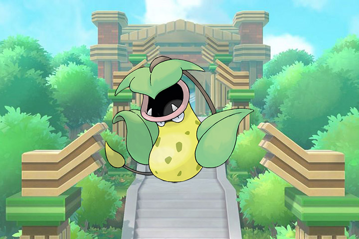 Pokédex : Fiche Empiflor