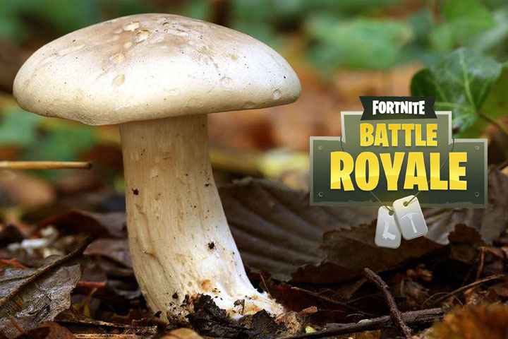 Fortnite : Pommes et champignons, où se trouvent-ils sur la carte ?