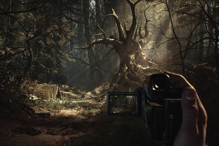 La forêt du nouveau jeu Blair Witch