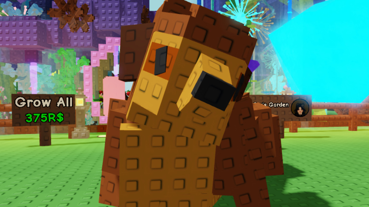 Meerkat Grow A Garden : comment avoir l'animal de compagnie dans son jardin ?