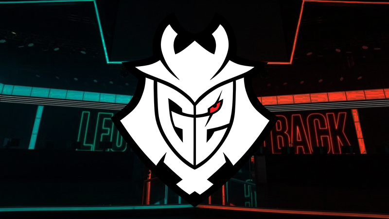 ocelote n'est plus le CEO de G2 Esports pendant 8 semaines