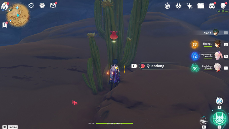 Où trouver des quandongs ?