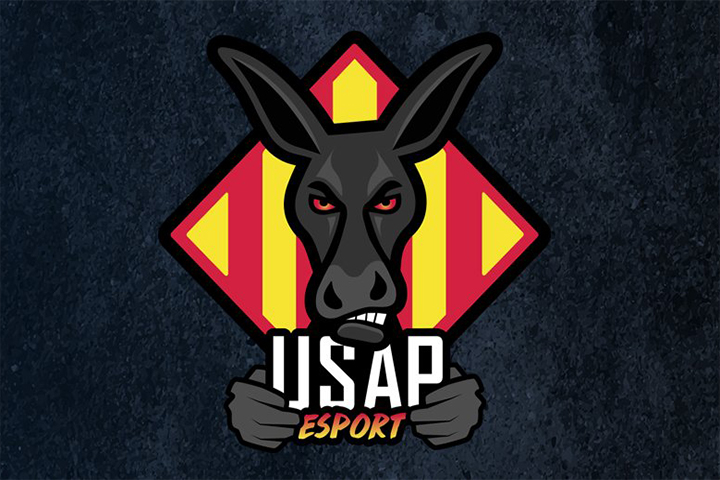 L'USAP dans l'Esport Fortnite