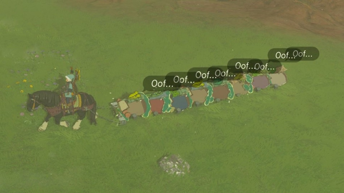 Les Korogu prennent cher à cause des joueurs sur Zelda Tears of the Kingdom
