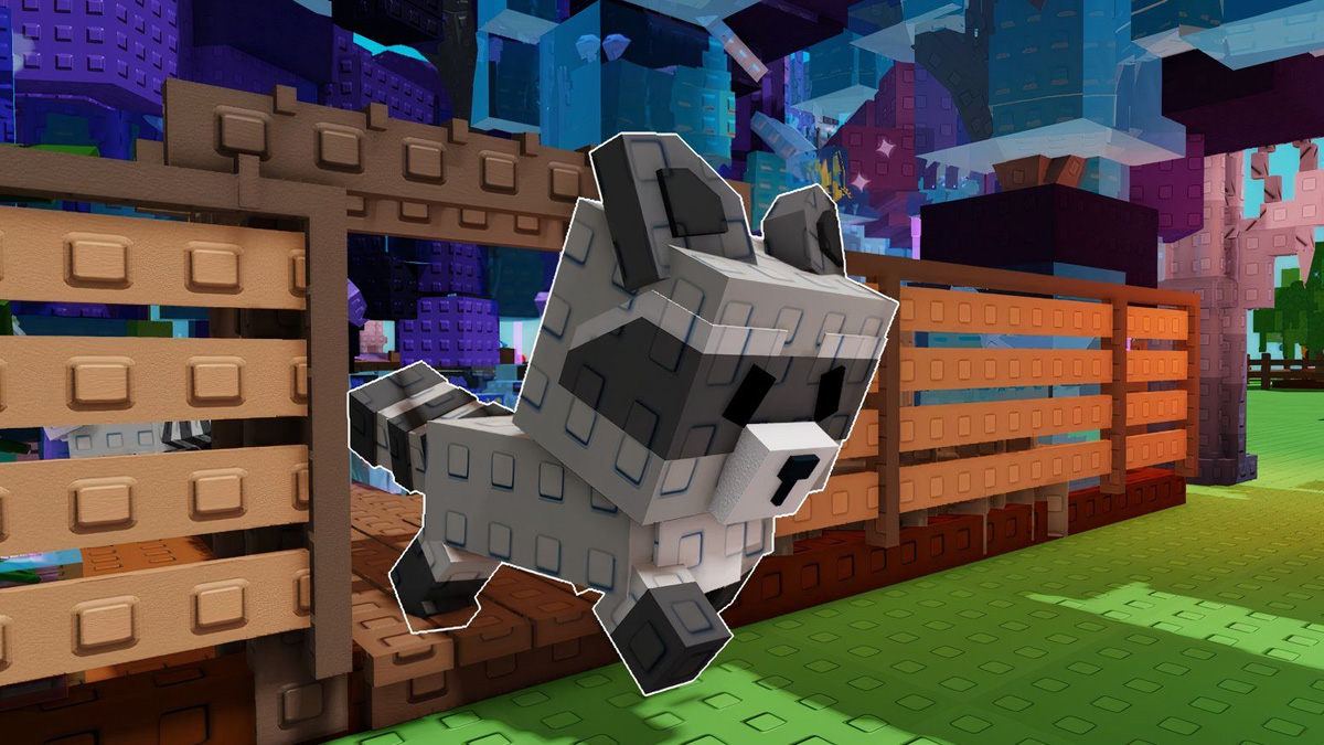 Raccoon Grow A Garden : comment avoir l'animal de compagnie dans son jardin ?