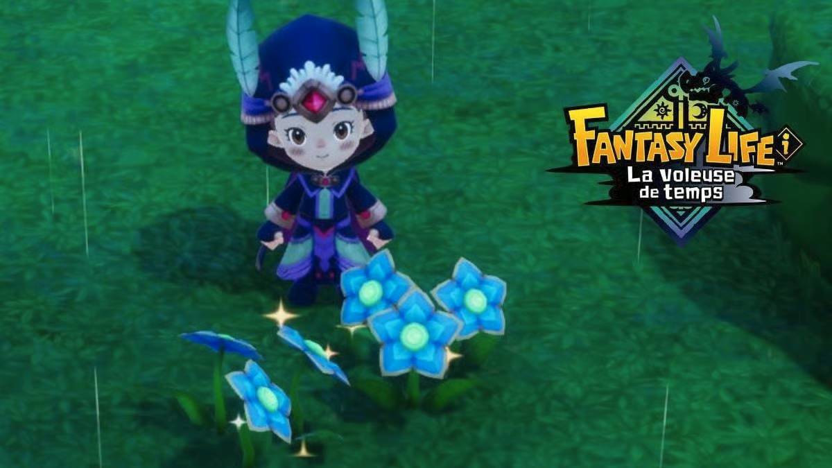 Mana d'Eau dans Fantasy Life i : comment en obtenir et à quoi ça sert ?