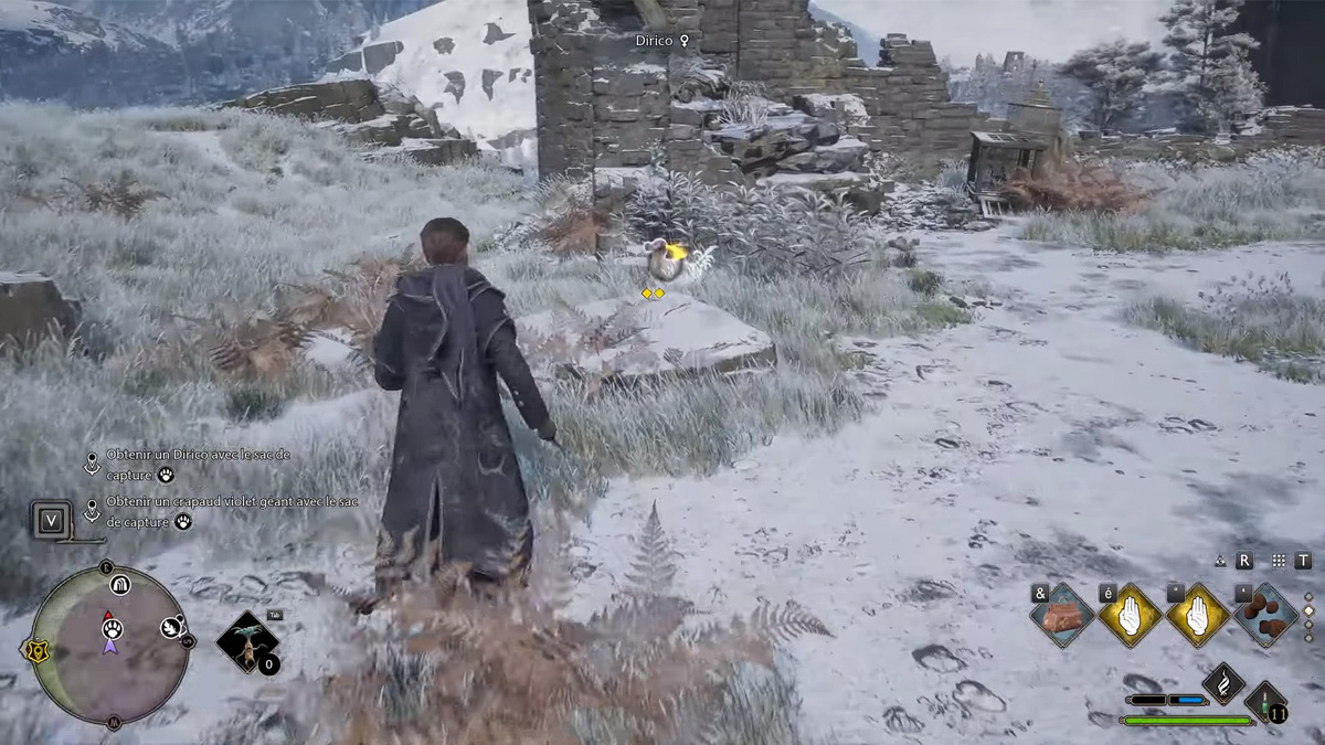 Comment capturer un Dirico dans Hogwarts Legacy ?