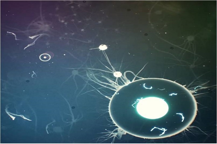 Ancestors : The Humankind Odyssey : L'évolution et l'énergie neuronale