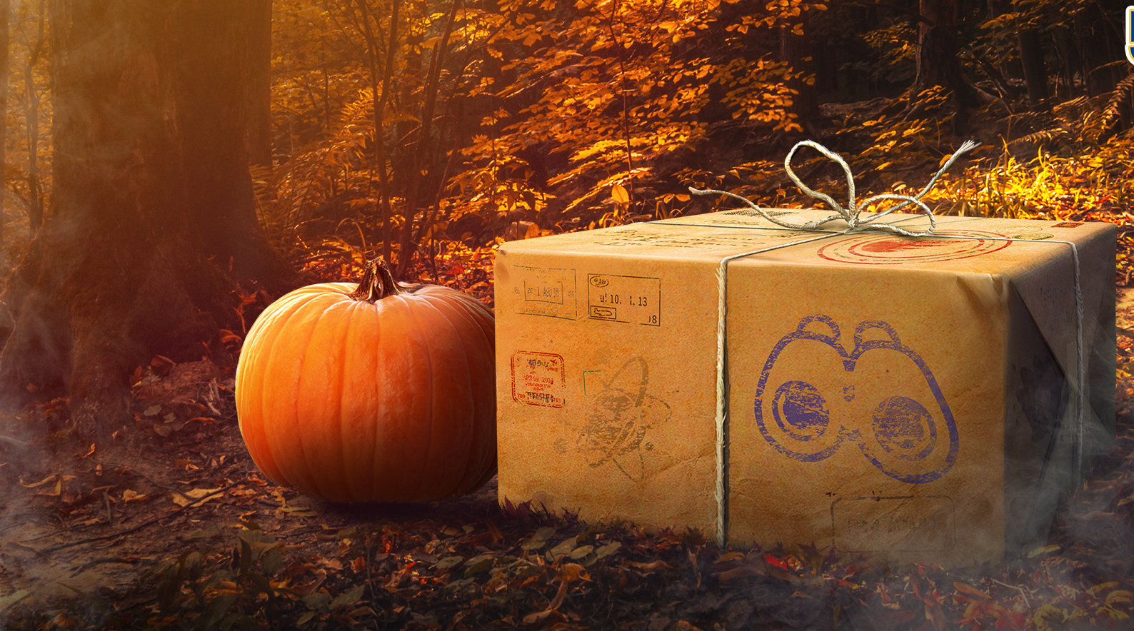 Les Pokémon Vedette de novembre 2021 sur Pokémon GO