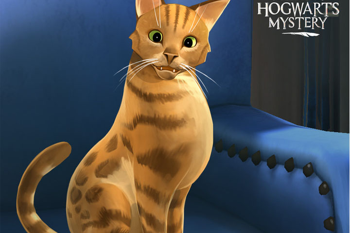 Chat ou hibou, choisissez !